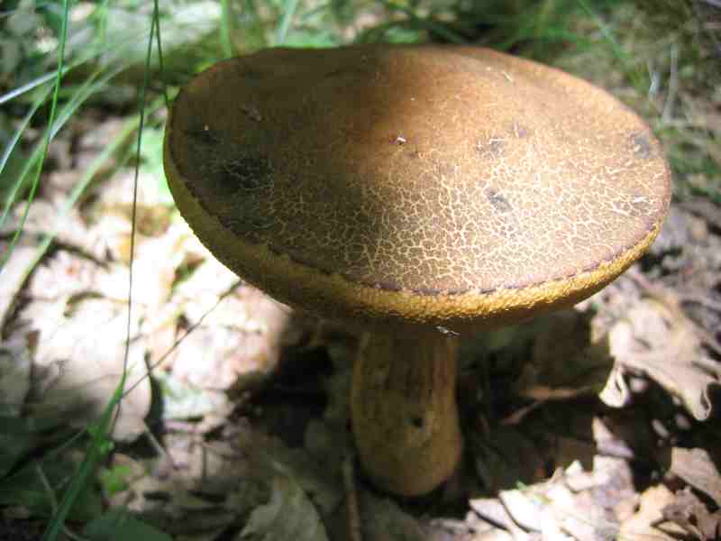 ritrovamenti del 2 giugno