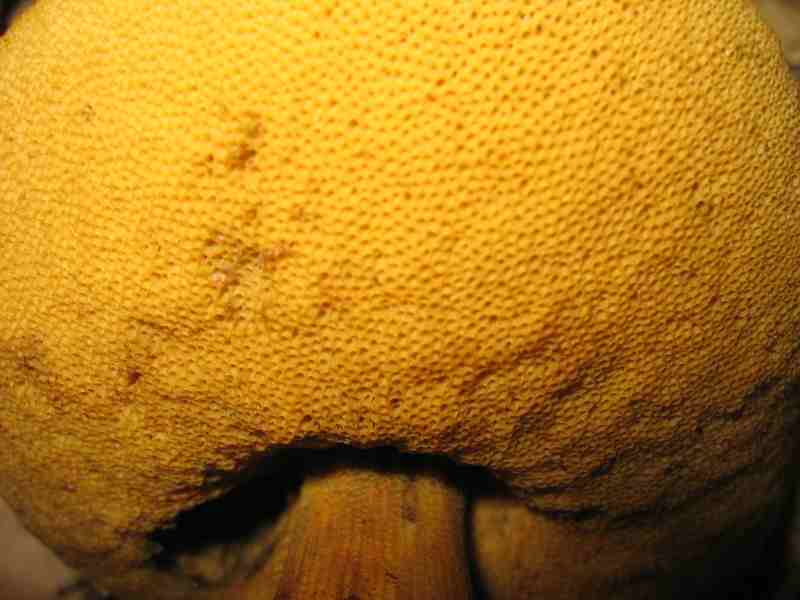 ritrovamenti del 2 giugno