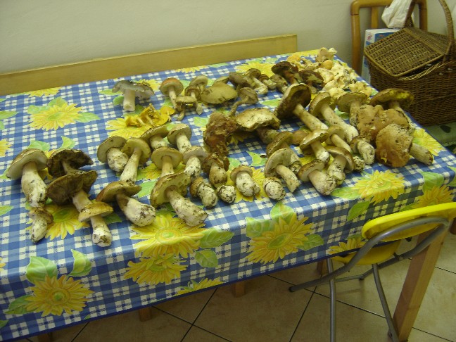 Nuova escursione a Colico