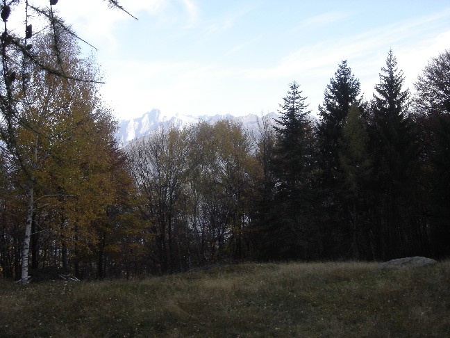 L''autunno  arrivato