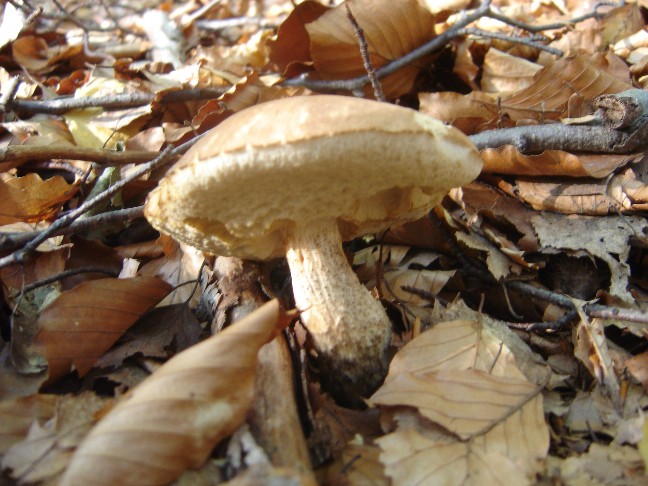 Solito giro a Colico