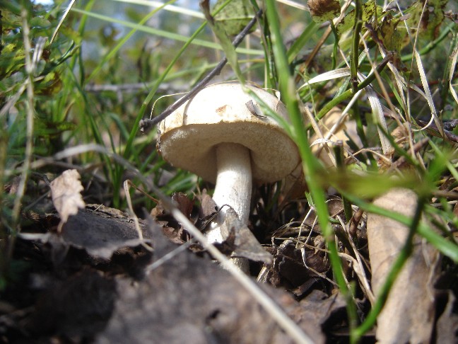 Solito giro a Colico