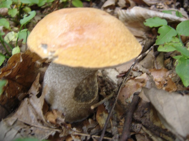 Solito giro a Colico