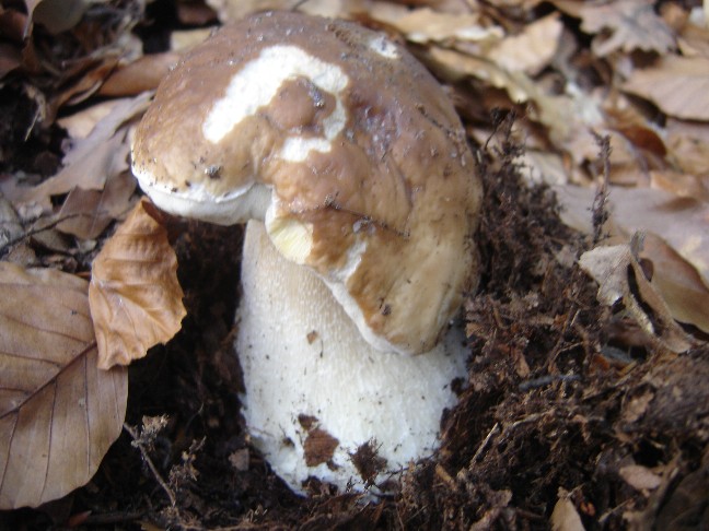 Solito giro a Colico