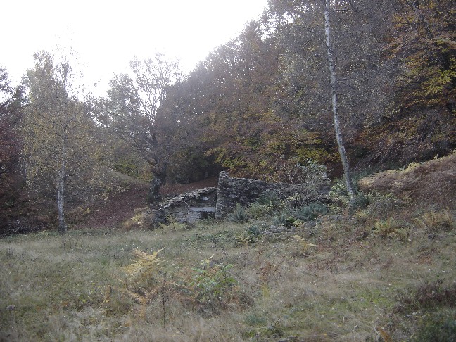 L''autunno  arrivato