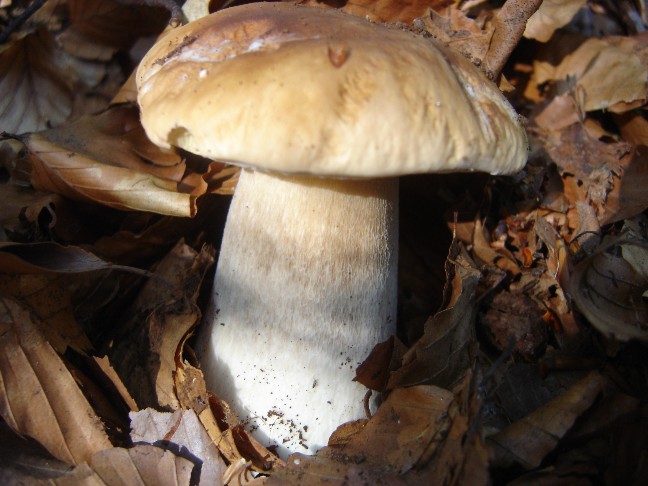 Solito giro a Colico