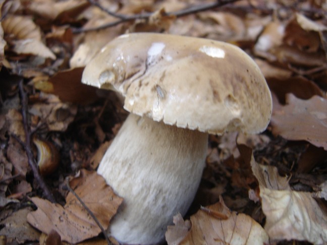 Solito giro a Colico