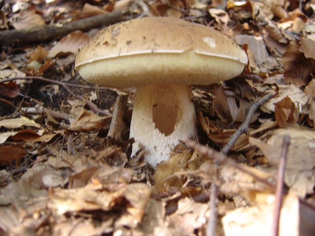 Solito giro a Colico