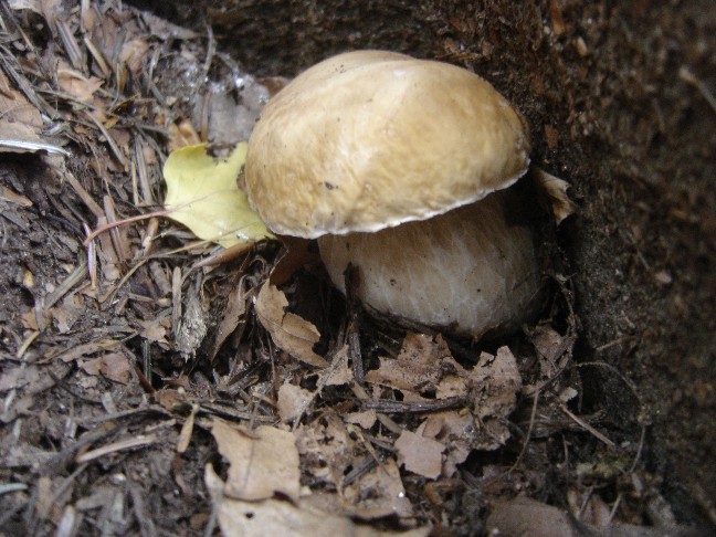 Solito giro a Colico