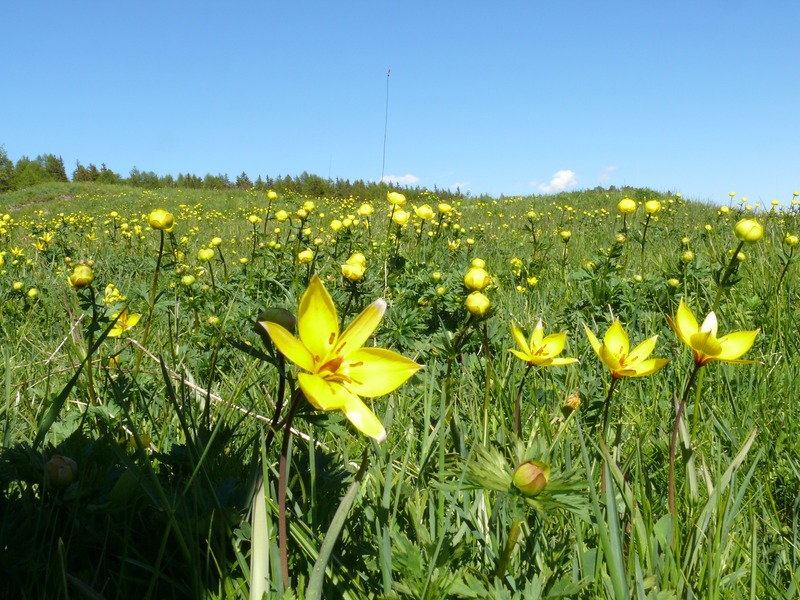 Paesaggi in valle d''aosta