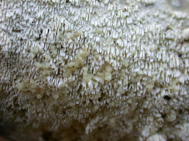 Da determinare ... n2