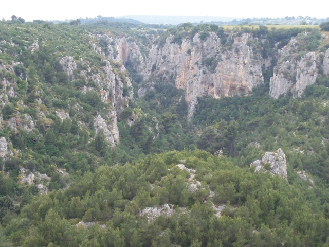 Gravine