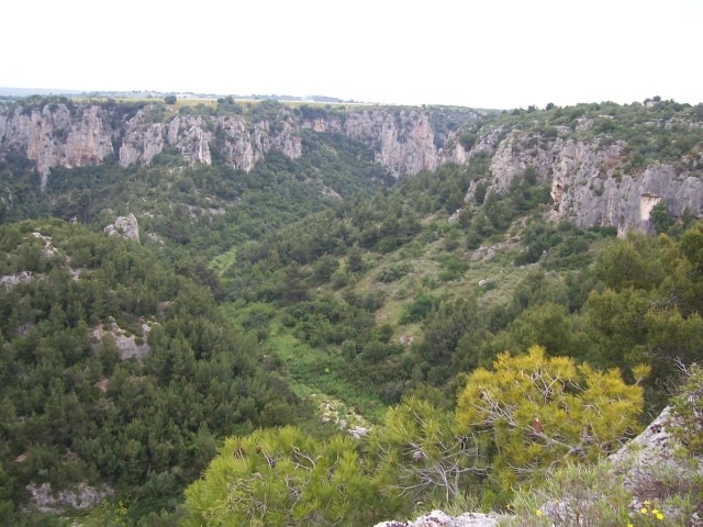 Gravine