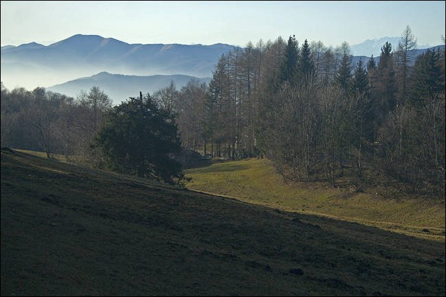 Monte Coltignone (Lecco)