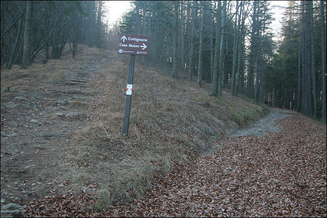 Monte Coltignone (Lecco)