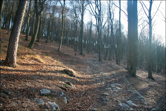 Monte Coltignone (Lecco)