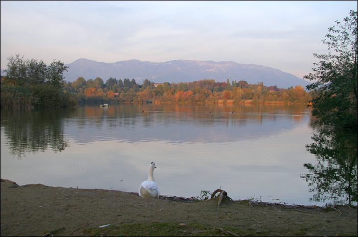 Laghi....della LOMBARDIA