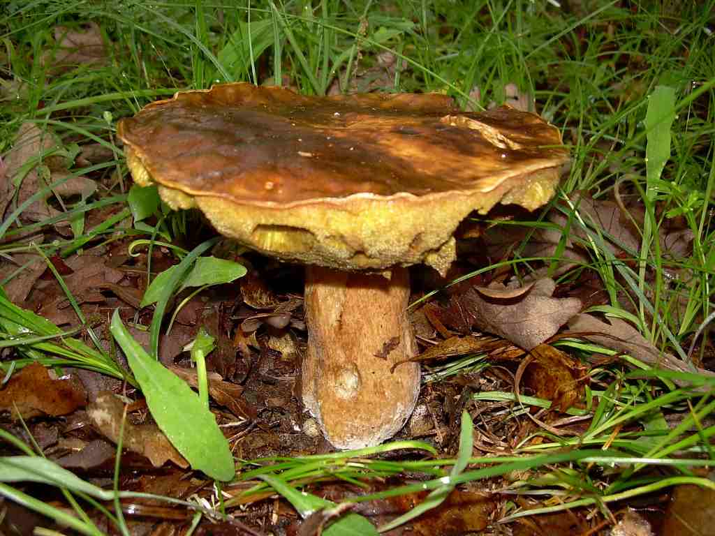 Passeggiatina con sorpresa