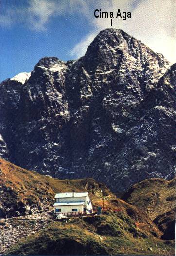 quiz da impegnarsi...