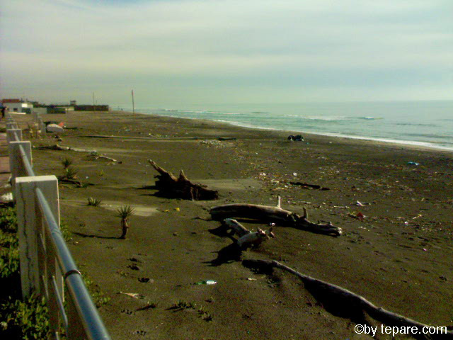 un mare di desolazione....che sconforto