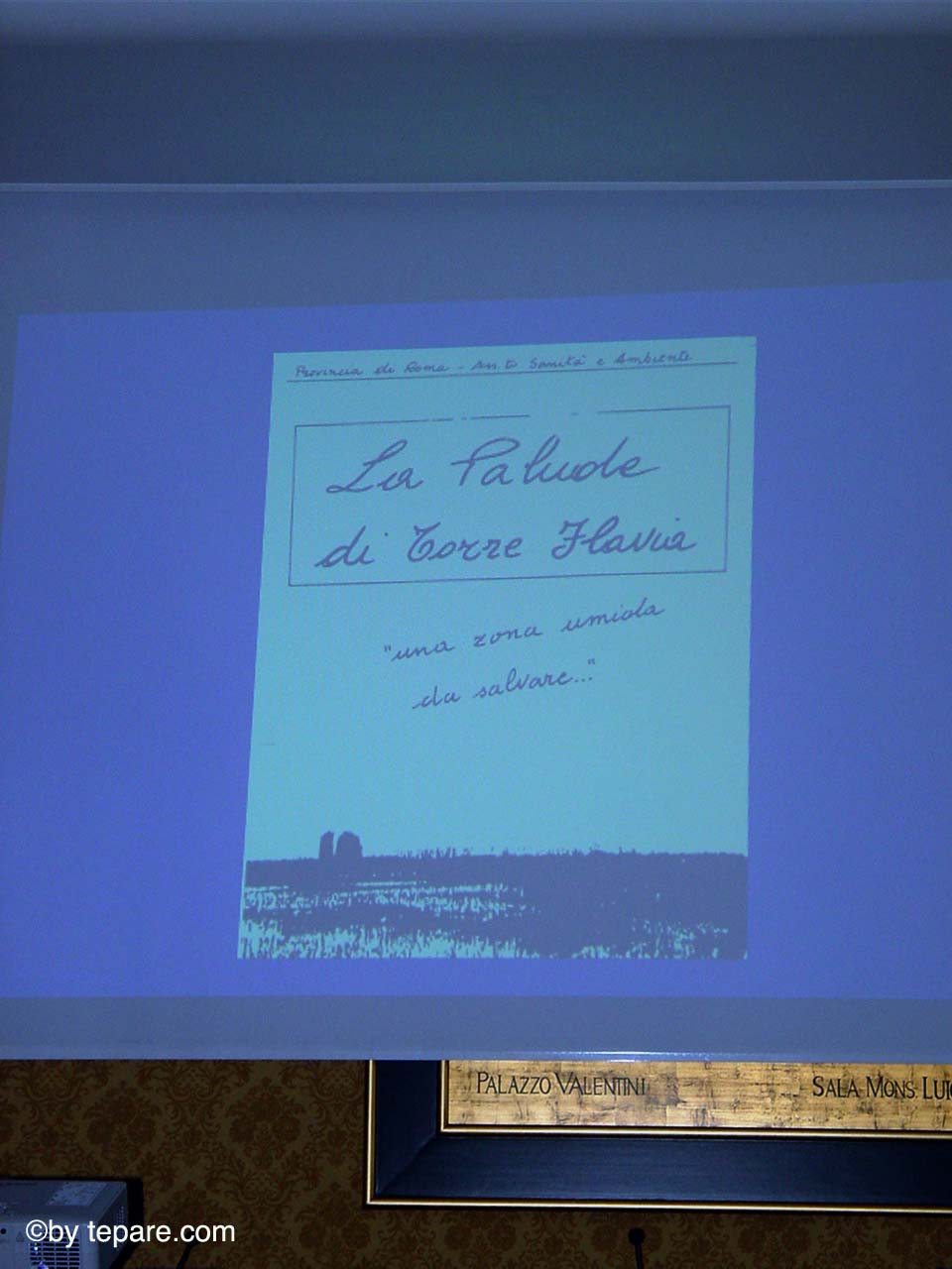 La palude di Torre Flavia