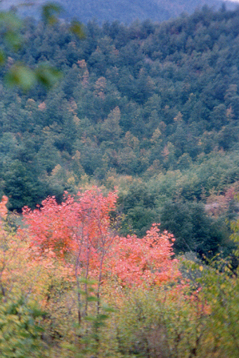se voi foste il giudice...