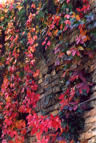 se voi foste il giudice...