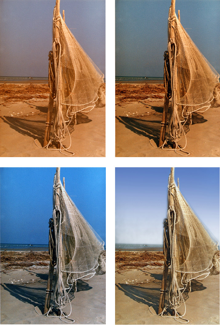 se voi foste il giudice...