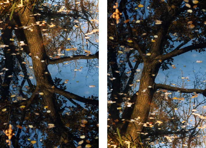 se voi foste il giudice...