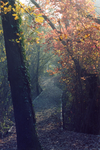 se voi foste il giudice...