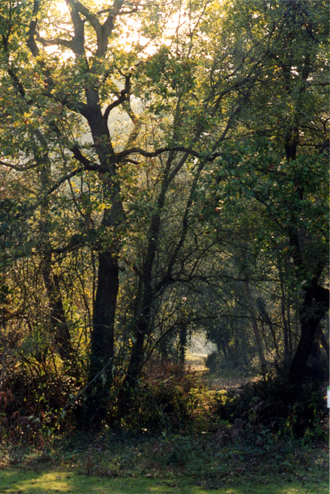 se voi foste il giudice...