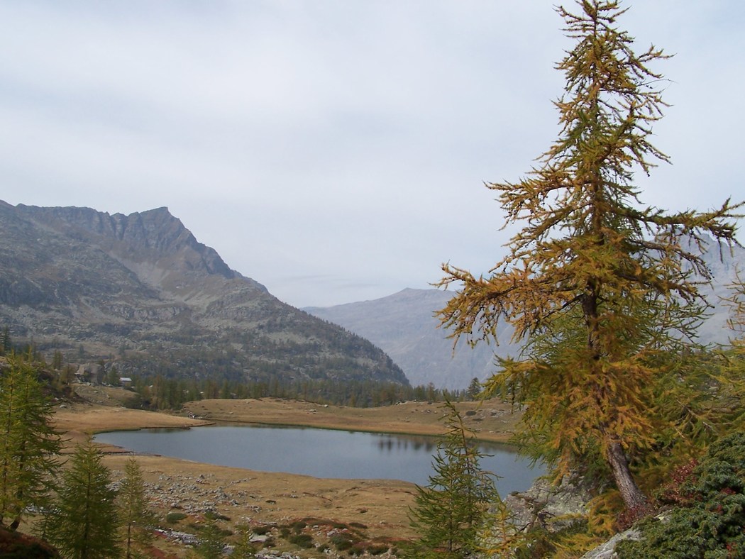 Laghi.....del PIEMONTE