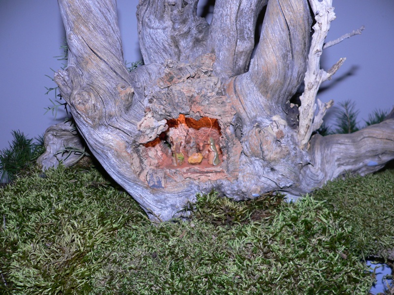 Alla ricerca di un presepio orginale