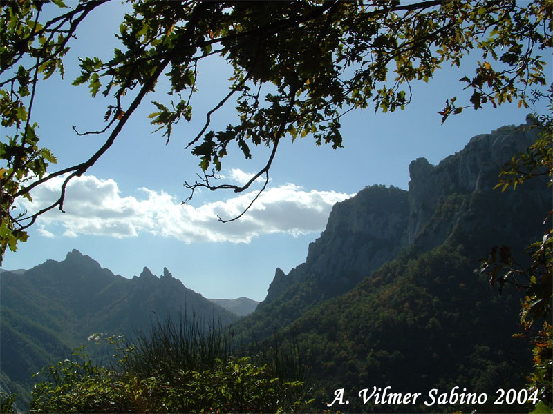 Parco regionale Gallipoli-Cognato e piccole dolomiti lucane