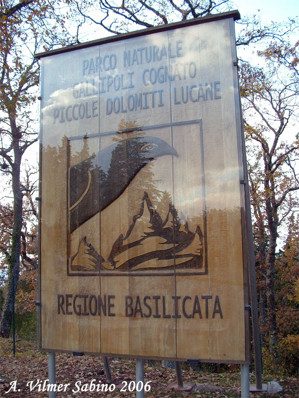Parco regionale Gallipoli-Cognato e piccole dolomiti lucane