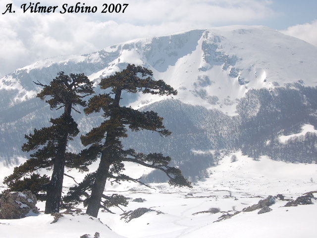 La mia ultima neve