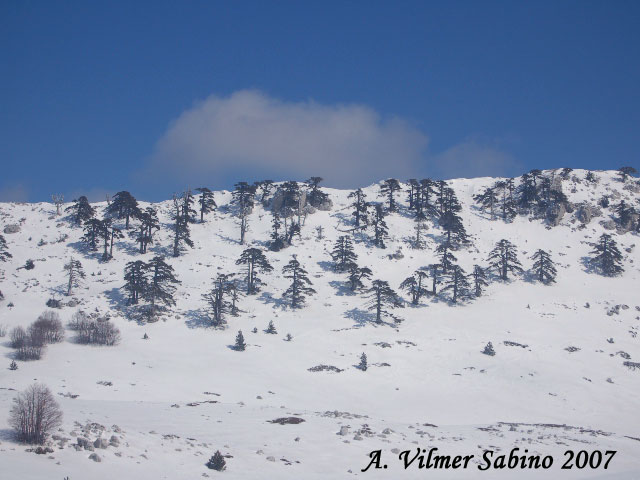 La mia ultima neve