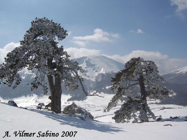 La mia ultima neve