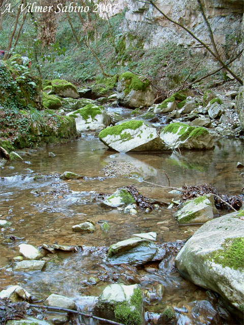 Savoia di Lucania e le sue cascate