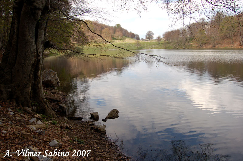 Laghi.....della BASILICATA