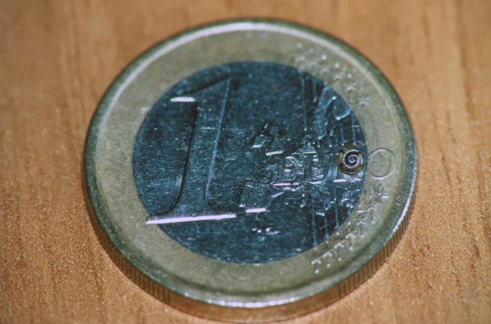 Che occhi grandi hai !