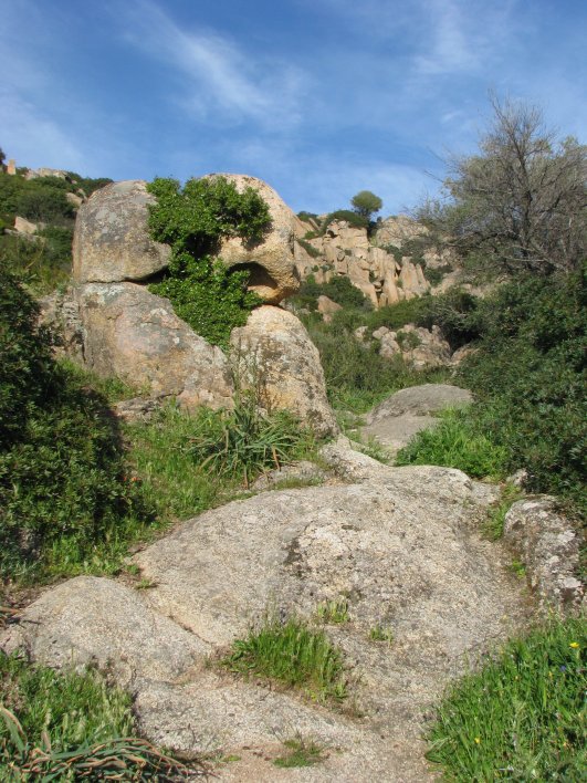 Tomba dei giganti di Sa Tuerredda