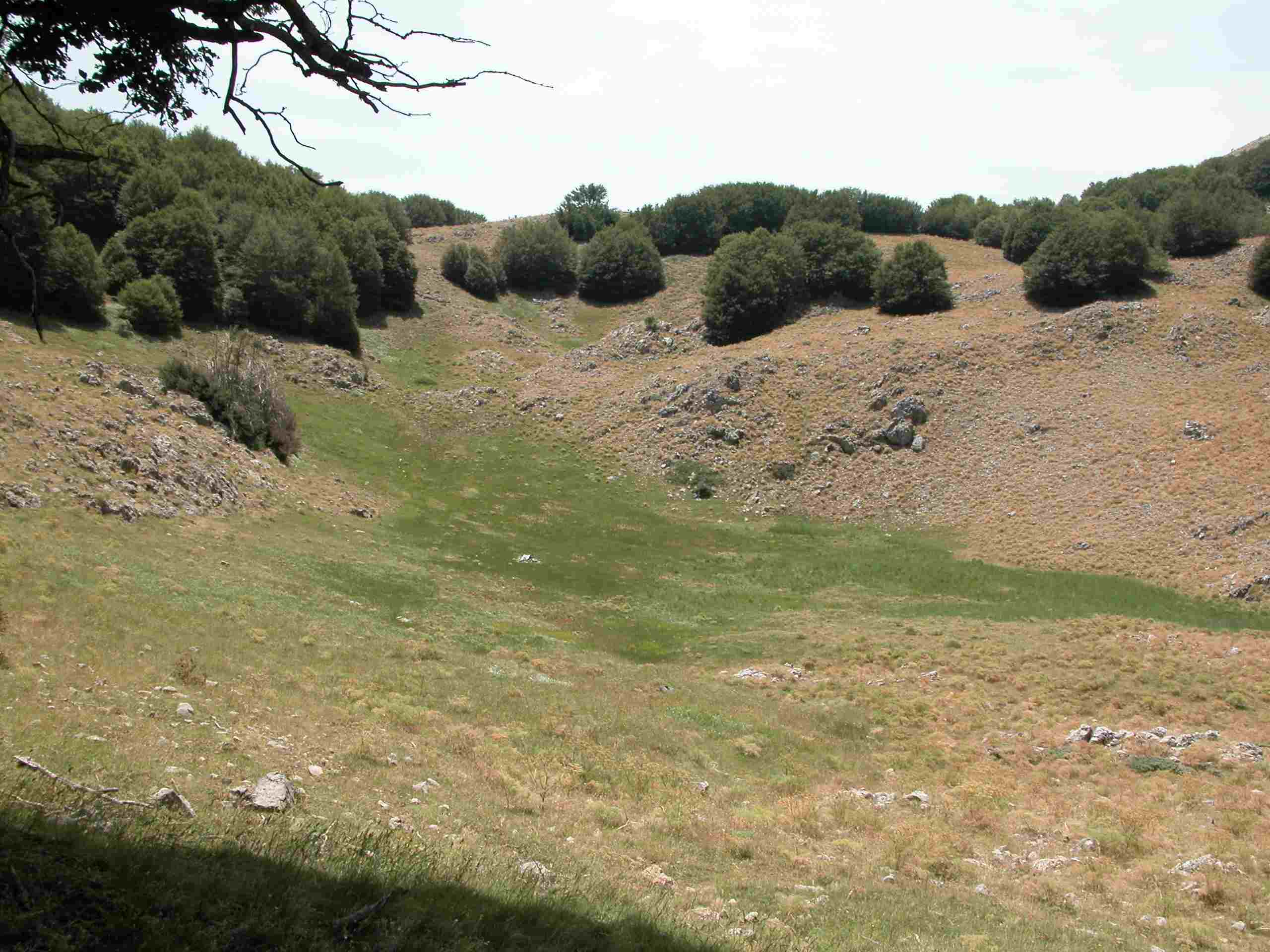 INCONTRO DI NATURA MEDITERRANEO SULLE MADONIE (PA)