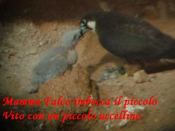 Favole di Natura