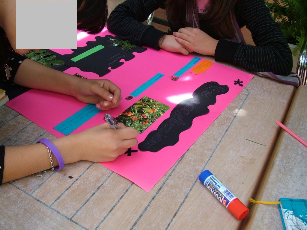 Il mio primo campo scuola..