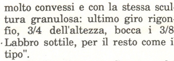 Rissoidae nel Mediterraneo: Genere Alvania