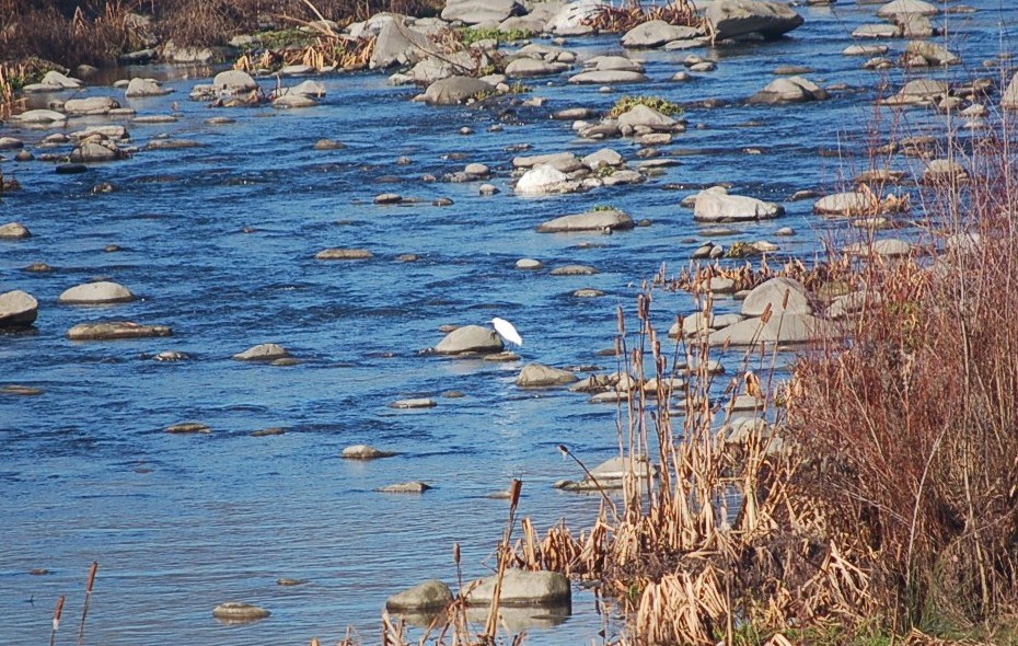 Sul fiume Serchio.