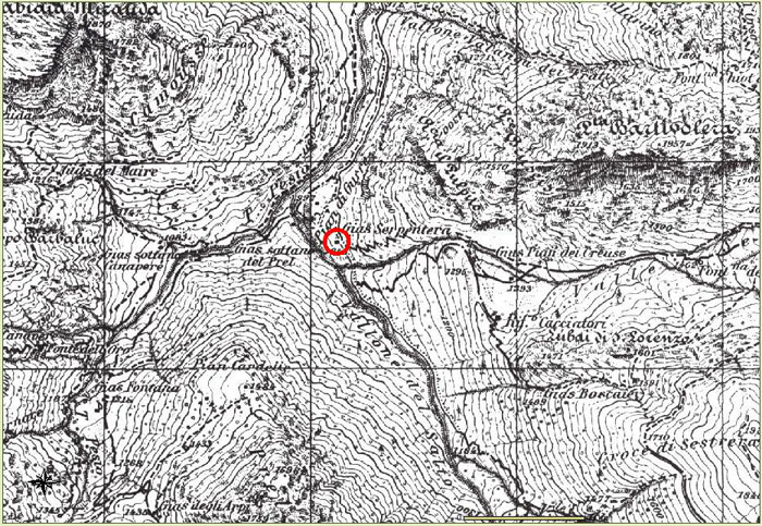 Dinocras ferreri