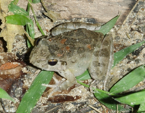 andaman islands