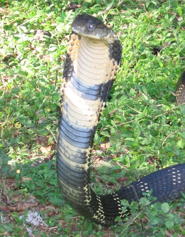 andaman islands